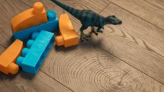 csm_k4382_dino_detail_quer_2b0d320fc5